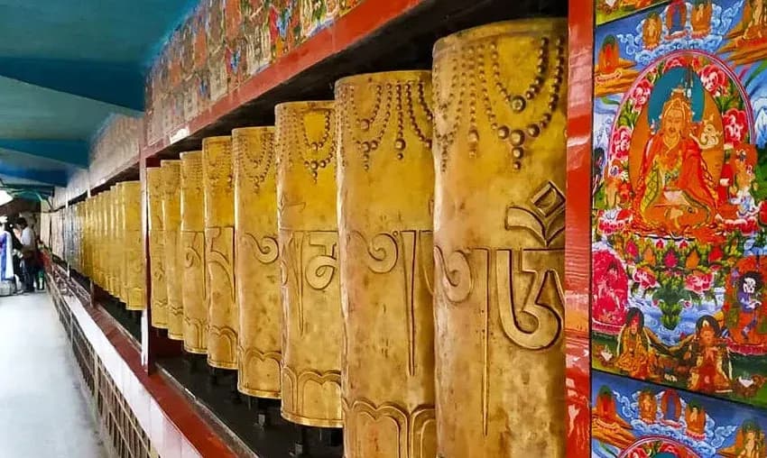 McLeodganj, Dhauladhar