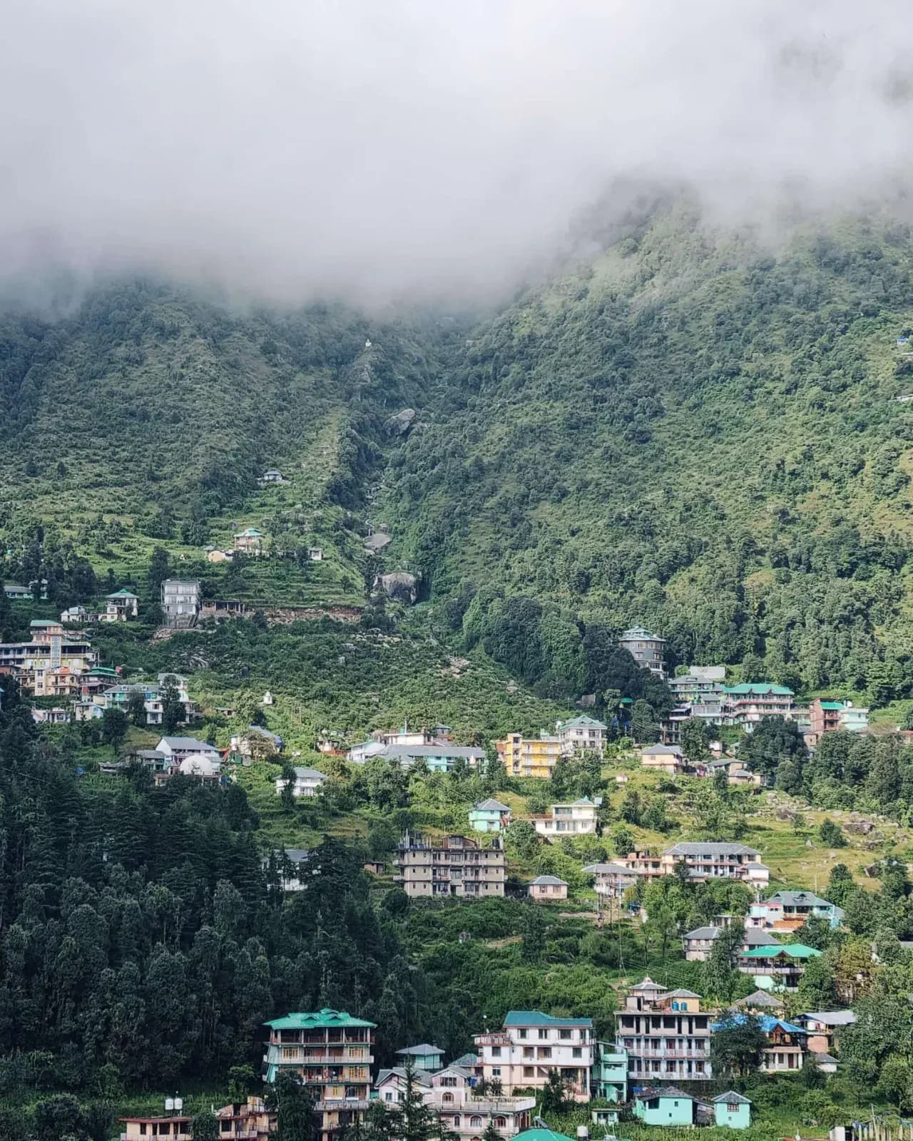 Dharamkot, Dhauladhar